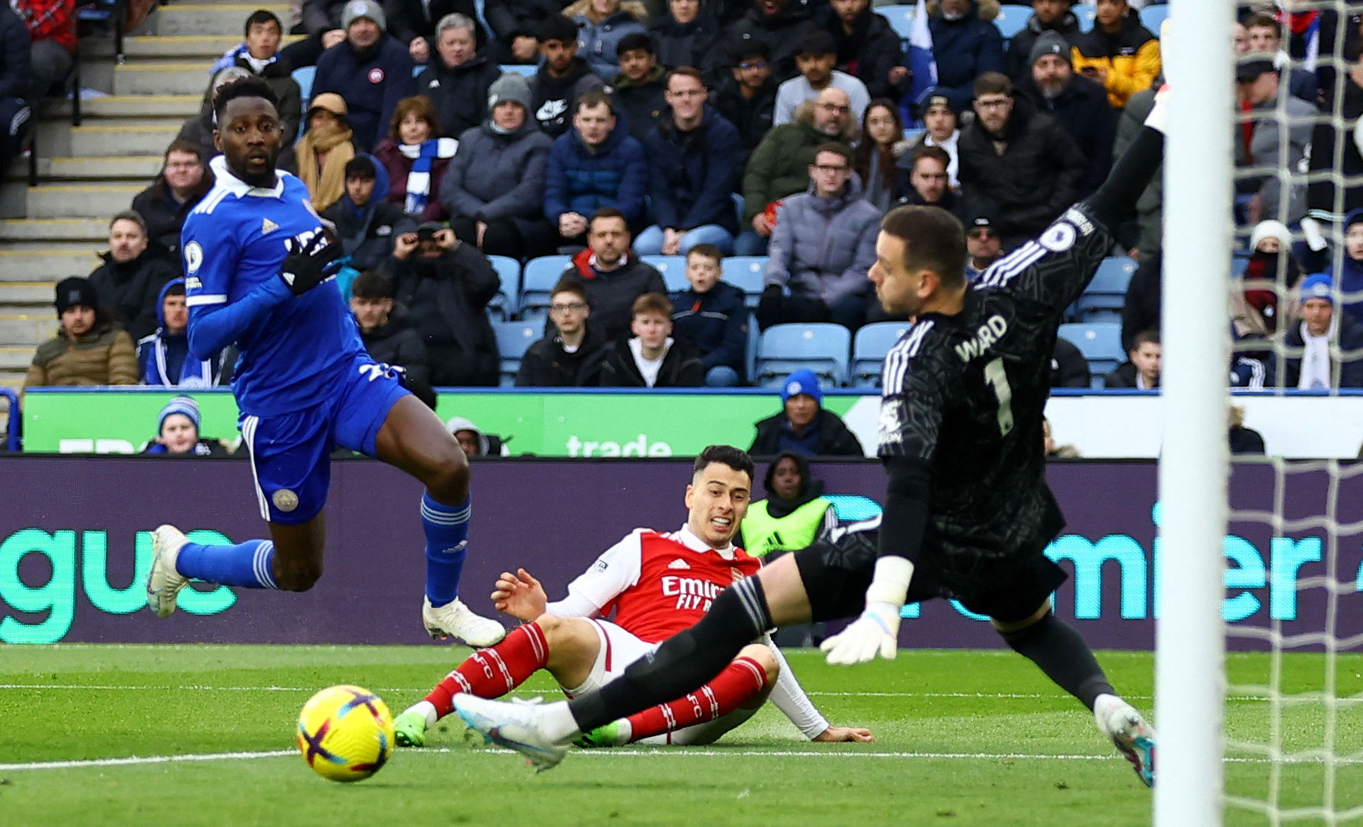 建立了自己 建立了自己